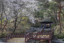 시흥시, 도시의 진면목 만나다…시티투어 시흥 매력 듬뿍 담아