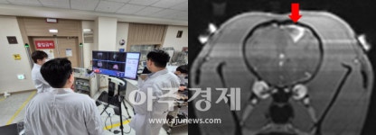 케이메디허브, 뉴로소나 개발… 대동물 뇌혈관장벽 개방 성공
