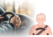 [창원소식]창원시, 마산로봇랜드 재개장 따른 시내버스 노선 연장 外