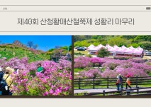 산청군, 산청황매산철쭉제 7만명 방문 성료