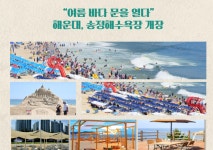 [해운대소식]부산 해운대구 장산산림욕장 황톳길 명소로 각광 外