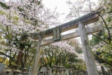 한국인 출입금지 내건 日신사…한국인만 흡연 등 민폐 행위