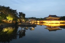 [김다이의 다이렉트] 황리단길만 왔다가려고? 찐 경주 매력은 황오동이지