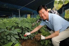 박범인 금산군수, 취임 3년 차 첫 출근…농산물우수관리 인삼밭 현장점검