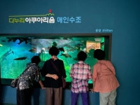 [김다이의 다이렉트] 비봉산 아래 푸른 청풍호반…온세상 민물고기 한자리서 감상