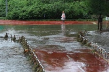 집중호우로 동부간선도로·내부순환로 통제…1호선 일부 운행 중단