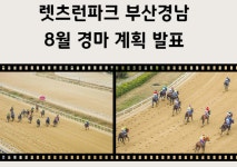 렛츠런파크 부산경남, 8월 경마 일정 발표