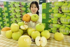 [포토] 농협유통, 신품종 배 그린시스 맛보세요~