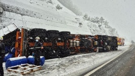 전북 진안에 20㎝ 눈폭탄…동부권에 집중