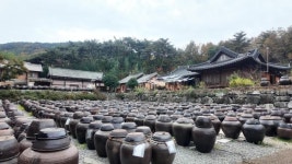 [김다이의 다이렉트] 한식의 근원 장 익는 고장 담양·순창