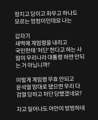 [비상계엄 후폭풍] 이센스 
