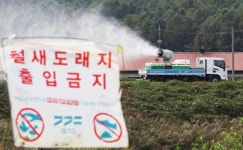 경기 화성 토종닭 농상서 고병원성 AI 발생…올해 동절기 14번째