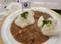 일본 시마네현청 식당에 다케시마 카레 판매…서경덕 한심할 따름
