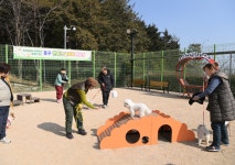 부산 동구, 6년 만에 독립만세 행진 재현 外