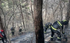 국립공원 227개 구간 1004㎞ 탐방로 통제...추가 산불 막는다