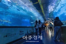 [포토] 코엑스 아쿠아리움, 5월 황금연휴엔 월레스&그로밋과 함께