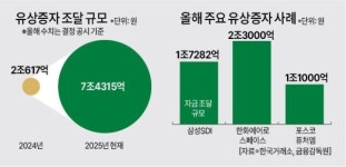 줄 잇는 兆 단위 유상증자… 주주들, 지분 희석에 분통