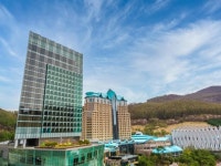 산림관광 활성화 박차 강원랜드-한국산림복지진흥원, 업무협약 체결
