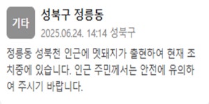 성북구 성북천 인근 멧돼지 출현…현재 조치 중