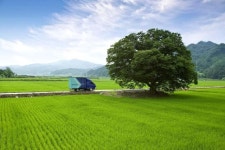 한진, 2025 지속가능경영보고서 발간… 상생경영 모색 지속