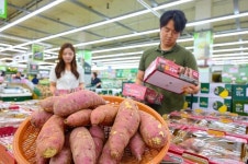 농협유통 하나로마트, 올해 수확 햇고구마 선보여