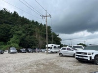 광양전어축제 주차장 전봇대 논란