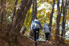 경기관광공사, 가을 숲에서 만나는 힐링의 순간들