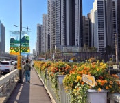 서울시, 서울숲서 한양대역~건대입구역 잇는 선형 네트워크 조성