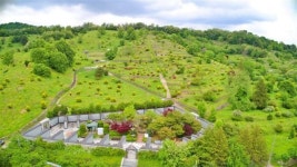 전주효자추모공원, 설 당일 이면도로 일방통행