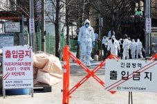 화성 돼지농장서 ASF 발생…봉화·구례 농가 AI 확진