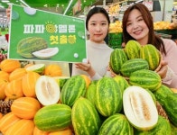 [유통·식품 뉴스픽] 현대백화점·세븐일레븐·농협유통