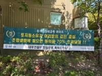 [르포] 재건축 기대감 속 뜨거운 노원구… 규제 완화에 들썩
