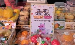 '주물주물' 어른도 사로잡은 '왁뿌볼·말랑이' 알고 보니…유해물질 176배