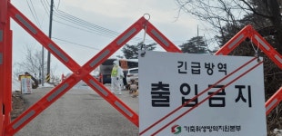 경기 파주서 아프리카돼지열병 발생…방역 총력으로 확산 차단 나선 정부