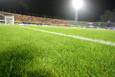 강원FC 홈경기장, 강릉시 적극적 지원으로 최고의 잔디상태 유지해