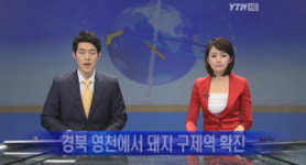 경북 영천서 구제역 확진, ‘불과 한달만에’