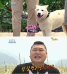 1박2일 백통이 등장, 강호동 ‘상근아 보고싶다’ 폭소