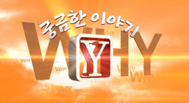 궁금한 이야기 Y, 강풀-허영만 사칭남 