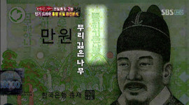 지폐속 뿌리깊은 나무, ‘만 원짜리 지폐 속에 진짜 있다!’ 화제