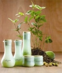 네이처리퍼블릭트리플이엑스링클아이크림