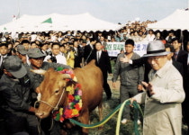 현대삼호중공업, 정주영 명예회장 추모 사진전 개최