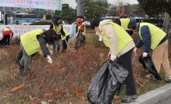 코트라 깨끗한 거리 만든다
