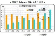 ´폴리에스터 칩´ 지각변동…中 수출 노린다