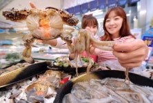 [포토]제철 맞은 ´꽃게´ 군침이 절로~