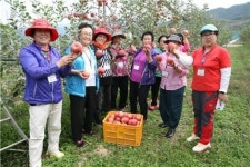 여천NCC,  사과따기 체험 등 경로당 문화체험 지원