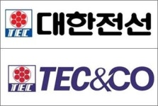 대한전선, 통신케이블 계열사 ‘티이씨앤코’ 흡수합병