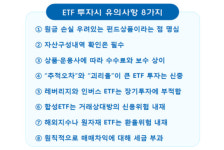 금감원 투자꿀팁…"ETF는 원금손실 우려있는 펀드"