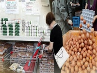 한국인, 1인당 연간 계란 섭취량 268개