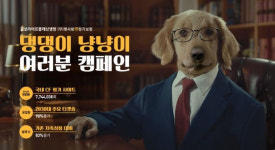 교보라이프 펫사랑m정기보험 앤어워드 그랑프리 수상