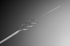 시지바이오, 뇌혈관 스텐트 알파 스텐트 식약처 허가